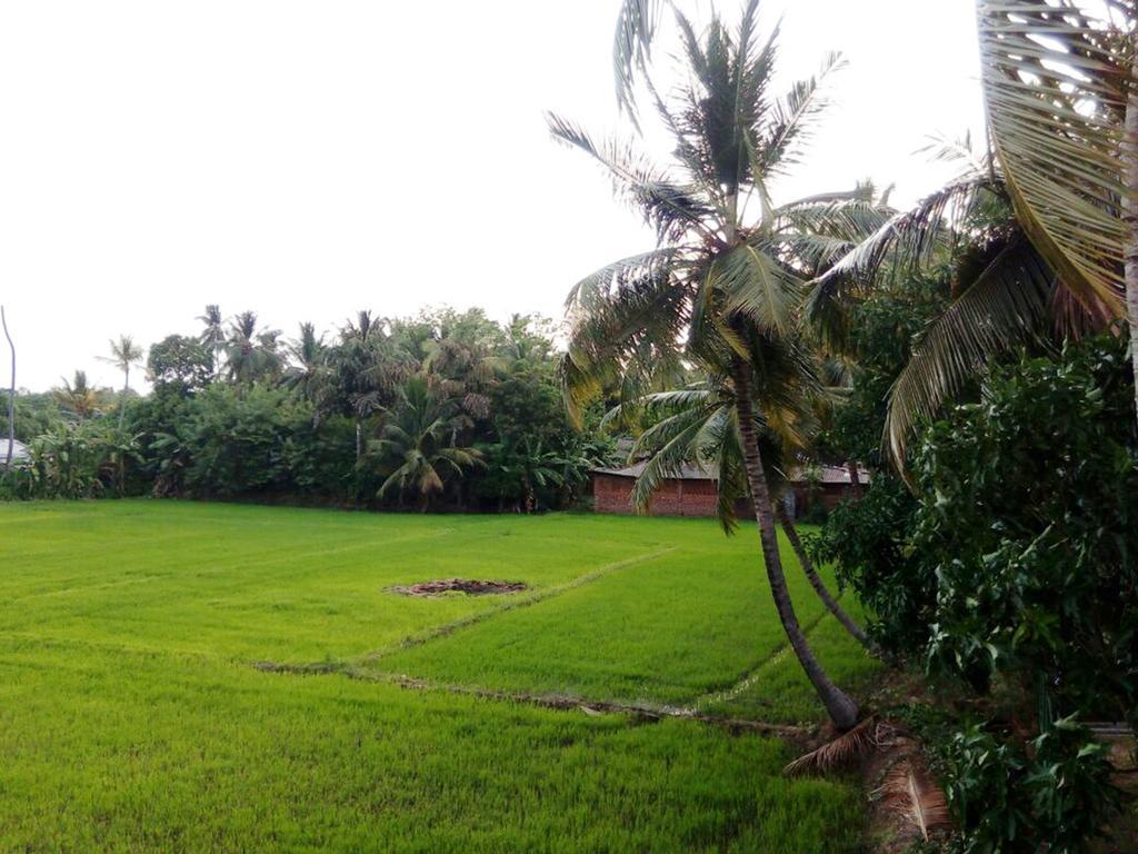 My Home Guest Polonnaruwa Εξωτερικό φωτογραφία